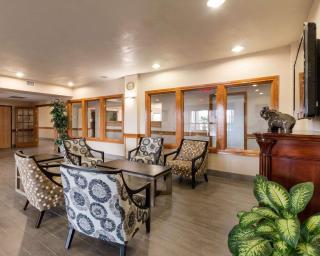 Quality Inn Buffalo - 3