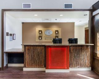 Comfort Suites - Odessa - 3
