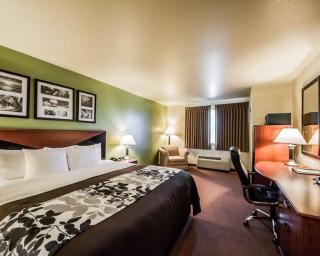 Sleep Inn & Suites - Shamrock - 4