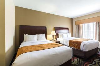 Comfort Suites Beaumont I-10 - 6