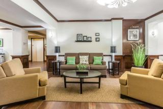 Sleep Inn & Suites Bush Intercontinental - IAH East - Humble - 9