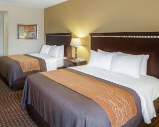 Comfort Inn & Suites Regional Medical Center - 4