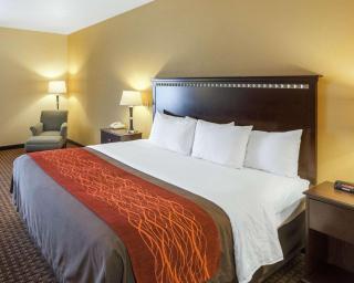Comfort Inn & Suites Regional Medical Center - 2