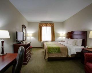 Quality Inn - Rockdale - 8
