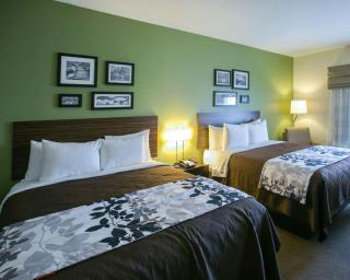 Sleep Inn & Suites Round Rock - Austin North - Round Rock - 3