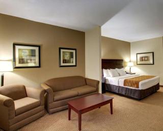 Comfort Inn & Suites - Alvarado - 3