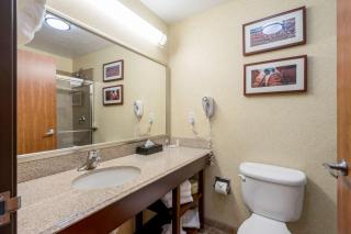Comfort Inn & Suites Cedar City South - 5