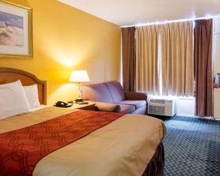 Econo Lodge Petersburg - Fort Lee - Petersburg - 9