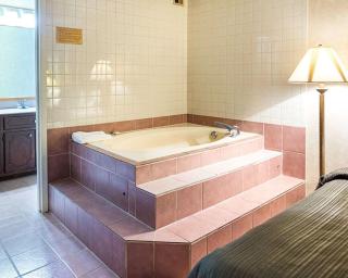 Quality Inn Petersburg Near Fort Gregg-Adams - Southern Estates - 9