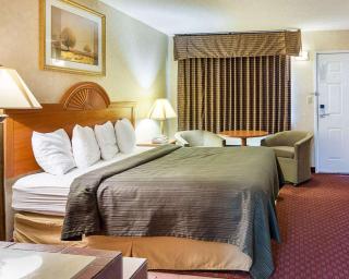 Quality Inn Petersburg Near Fort Gregg-Adams - 6