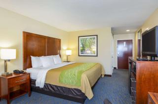 Comfort Inn Woodstock Shenandoah - Woodstock - 4
