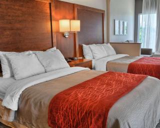 Comfort Inn Ruther Glen near Kings Dominion - Ruther Glen - 1