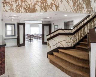 Spark by Hilton Lynchburg - University Area & Hwy 460 - Lynchburg - 7