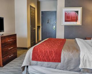 Comfort Inn Ruther Glen near Kings Dominion - 8