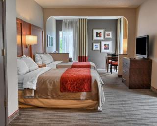 Comfort Inn Ruther Glen near Kings Dominion - Ruther Glen - 9