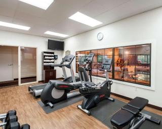 Comfort Suites Dulles Airport - Chantilly - 3