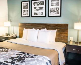Sleep Inn & Suites Monticello - Charlottesville - 3