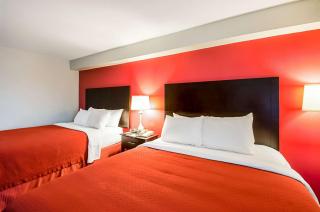 Quality Inn near Potomac Mills - Woodbridge - 5