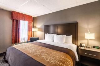 Comfort Inn Ballston - Arlington - 2