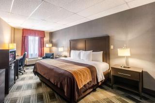 Comfort Inn Ballston - Arlington - 1