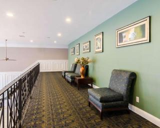 Rodeway Inn & Suites Williamsburg Central - Williamsburg - 9