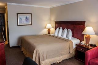 Quality Inn & Suites Fife Seattle - Fife - 3