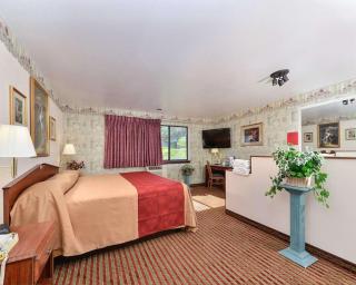 Rodeway Inn & Suites Madison East - Madison - 3