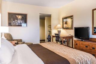Comfort Inn & Suites Sheridan - Sheridan - 4