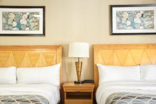 Mount Royal Inn - Adams - 2