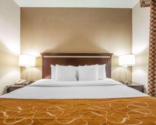 Comfort Suites London South - 7