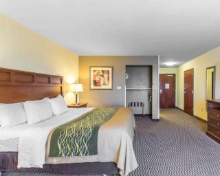 Comfort Inn & Suites - Madisonville - 4