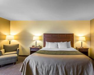 Comfort Inn & Suites - Madisonville - 3