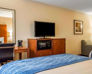 Comfort Inn & Suites Franklin East - Franklin - 8