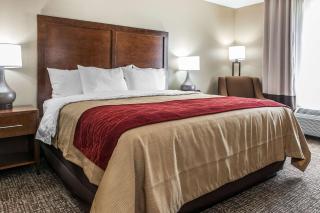 Comfort Inn & Suites - Mount Sterling - 4