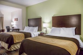 Comfort Inn Lexington South - Nicholasville - 5