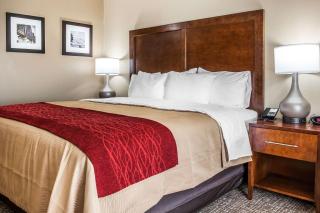 Comfort Inn & Suites - Mount Sterling - 2