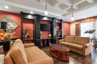 Comfort Suites Sulphur-Lake Charles - Sulphur - 9