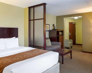 Comfort Suites Harvey - New Orleans West - Harvey - 1