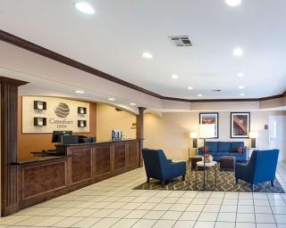 Comfort Inn Marrero - New Orleans West - Marrero - 8