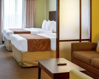 Comfort Suites Harvey - New Orleans West - Harvey - 6