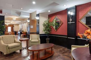 Comfort Suites Sulphur-Lake Charles - Sulphur - 8