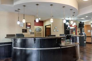 Comfort Suites Sulphur-Lake Charles - Sulphur - 4