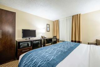 Comfort Inn Matteson - Chicago - Matteson - 3