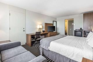 Quality Inn - Corner Brook - 6