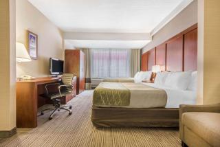 Comfort Inn & Suites - 2