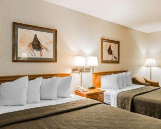 Quality Inn & Suites Montrose - Black Canyon Area - 5