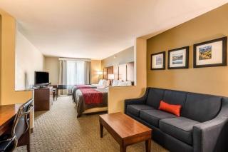 Comfort Inn & Suites - 1