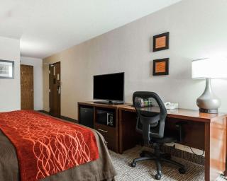 Comfort Inn Denver East - Denver - 9