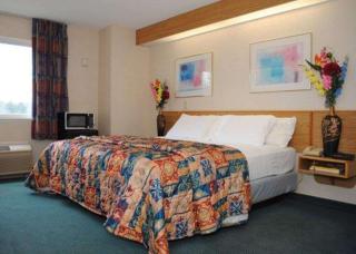 Rodeway Inn Willington North - Willington Hill - 3