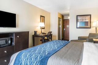 Comfort Inn & Suites - Meriden - 5